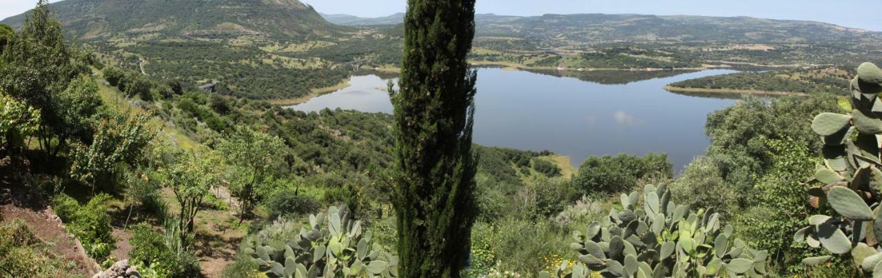 Monteleone Rocca Doria Brancadoria B&B المظهر الخارجي الصورة